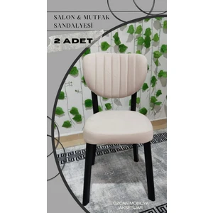 2 Adet Metal Elma Mutfak Salon Sandalyesi Kafe Restoran Sandalyesi Metal Demonte Sandalye