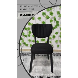 Özcan Mobilya Aksesuar 2 Adet Metal Elma Mutfak Salon Sandalyesi Kafe Restoran Sandalyesi Metal Demonte Sandalye