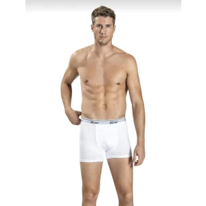 156 Erkek Boxer Likralı Şort 3 Adet