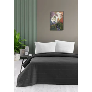 Pierre Cardin Pike Esse Tek Kişilik Antrasit