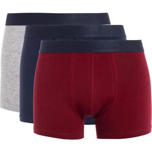 Regular Fit 3'lü Boxer D7469AX24AU