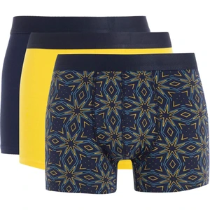 Regular Fit 3'lü Boxer D7535AX24AU