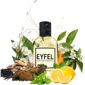 W201 Kadın Parfüm 100 ML