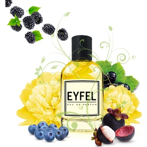 W209 Kadın Parfüm 50 ML