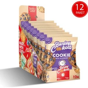 Barley Cookies Yaban Mersinli Soft Cookies 40G x 12 Paket