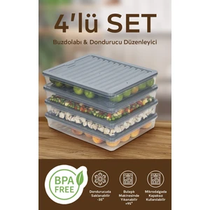 4'lü Set 2400 ml Buzdolabı Düzenleyici Buzluk ve Mikrodalga Saklama Kabı