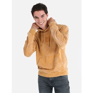 Regular Fit Baskılı Kapüşonlu Sarı Erkek Sweatshirt Cl1064608