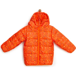 HelloBaby Basic Kapüşonlu Kulaklı Mont Erkek Bebek