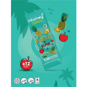 Ananas Meyve Barı 12 Adet | Sağlıklı Atıştırmalıklar – Vegan, Glutensiz, Koruyucusuz 20gr X 12 Adet
