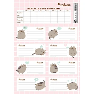 Keskin Color Pusheen Ders Programlı 3lü Etiket