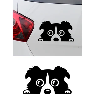 Border Collie Köpek Resmi Oto Araba Cam Sticker Çıkartma Bilgisayarlar,kamyonlar, Motosikletler Için