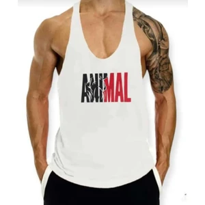 Fitness Atlet