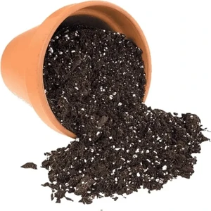 Bitki Çoşturan Perlit Katkılı Torflu Kaktüs, Sukulent ve Iç Mekan Bitki Toprağı 5 Litre
