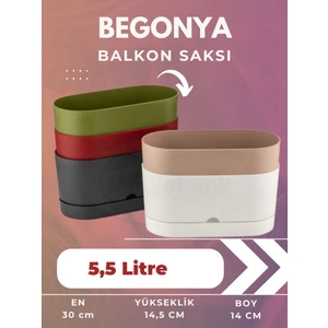 MF Botanik Begonya Pastel Balkon Saksı 5.5 Litre
