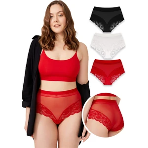Dantel Detaylı Transparan Büyük Beden Bikini Külot 3'lü Paket