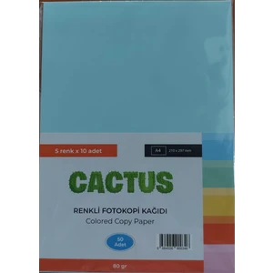 Fotokopi Kağıdı Renkli A4 80 gr 50'li 5 Renk