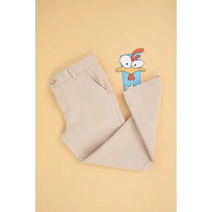 U.S. Polo Assn. Erkek Çocuk Taş Pantolon (Kanvas-Chino) 50283960-VR049