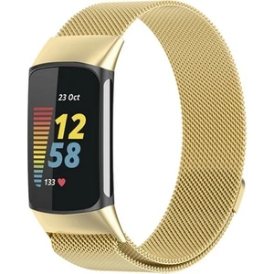 Fitbit Charge 5 Için Manyetik Metal Saat Kordonu