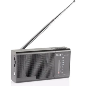 RXY-170FM Mini Radyo
