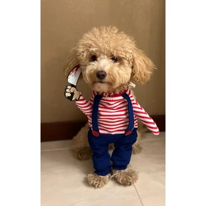 Petite Pati Chucky Katil Bebek Onden Giydirmeli Köpek Kıyafeti Kostümü