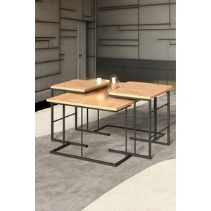 İzmir Alinda Mobilya Orta Sehpa ve Zigon Sehpa Set