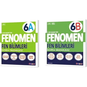 Fenomen Yayınları Okul 2025 6. Sınıf Fen Bilimleri A + B Serisi Soru Seti 2 Kitap