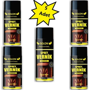 Profesyonel 400 ml Sprey Vernik 5 Adet