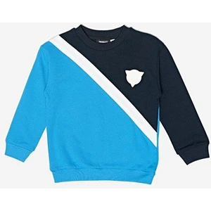 Erkek Çocuk Renkli Sweatshirt