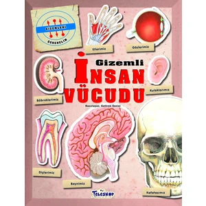 Gizemleri Öğrenelim - Gizemli Insan Vücudu - Kathryn Senior