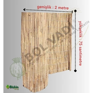 75 Cm X 200 Cm Afyonkarahisardan Misina Ipli Doğal Bambu Kamış Çit Bahçe Çiti Hasır Çit Gölgelik
