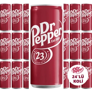 Dr. Pepper Dr Pepper 330ML 24'lü Koli