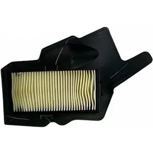 Raider 125 Hava Filtresi Orijinal