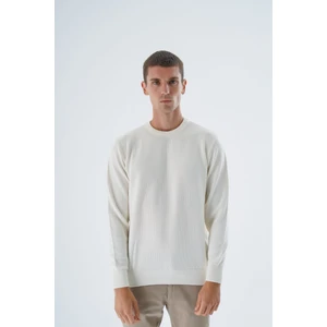 Trist Star Erkek Ekru %100 Pamuk Bisiklet Yaka Triko Kazak TRIST-1194