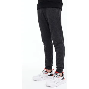 MR RJN226 JOGGER 4PR Gri Erkek Eşofman Altı