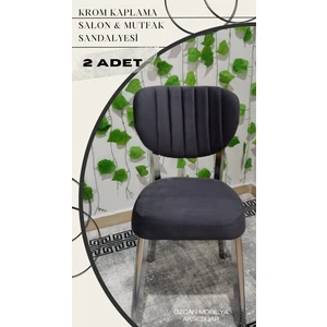 Özcan Mobilya Aksesuar 2 Adet Krom Metal Ayak Elma Mutfak Salon Sandalyesi Kafe Restoran Sandalyesi Metal Demonte Sandalye