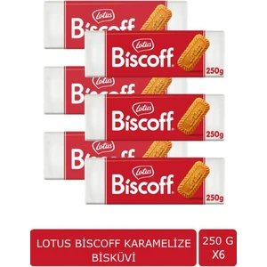 Biscoff 250 G x 6