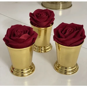 Elzem Tepsi 3 Adet Gold Renk Kırmızı Kadife Güllü Gül Kovası