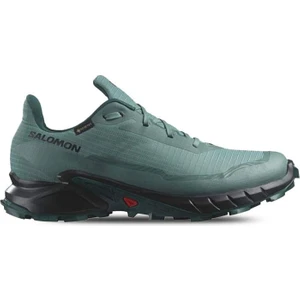 Alphacross 5 Gtx Erkek Outdoor Ayakkabı L47595000 Yeşil