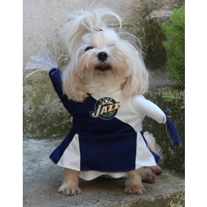 Amigo Kiz Lacivert Onden Giydirmeli Köpek Kıyafeti Kostümü