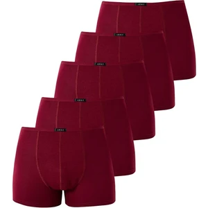 Erkek İnce Bel Lastikli Bambu Boxer Bordo 5'li Paket