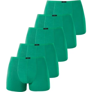 Erkek İnce Bel Lastikli Bambu Boxer Yeşil 5'li Paket