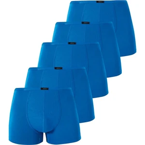 Erkek İnce Bel Lastikli Bambu Boxer Mavi 5'li Paket