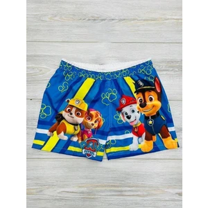 Erkek Bebek ve Çocuk Paw Patrol Yavru Köpek Desenli Paraşüt Kumaş Su Tutmayan Deniz Şortu