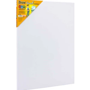 Tuval Fun Seri 35 x 50 cm
