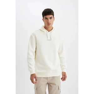%100 Pamuk Relax Fit Kapüşonlu Baskılı Sweatshirt Y9652AZ24AU