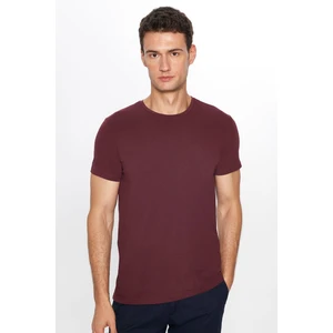 Erkek Slim Fit Dar Kesim Pamuklu Yumuşak Dokulu Esnek Kumaş Düz Basic Bordo Bisiklet Yaka T-Shirt