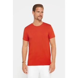 Erkek Slim Fit Dar Kesim Pamuklu Yumuşak Dokulu Esnek Kumaş Düz Basic Kiremit Bisiklet Yaka T-Shirt