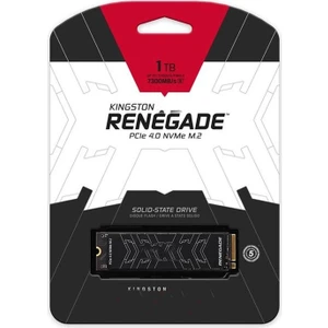 1tb Renegade SRNGS/1000G Nvme M.2 Okuma Hızı 7300MB / Yazma Hızı 6000MB SSD
