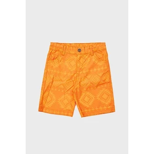 Bg Store Erkek Çocuk Oranj Şort 23SS2NB3151