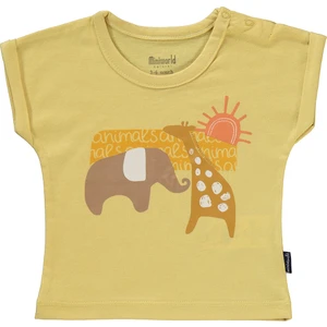 Erkek Bebek 2'li T-Shirt 3-12 Ay Soft Hardal